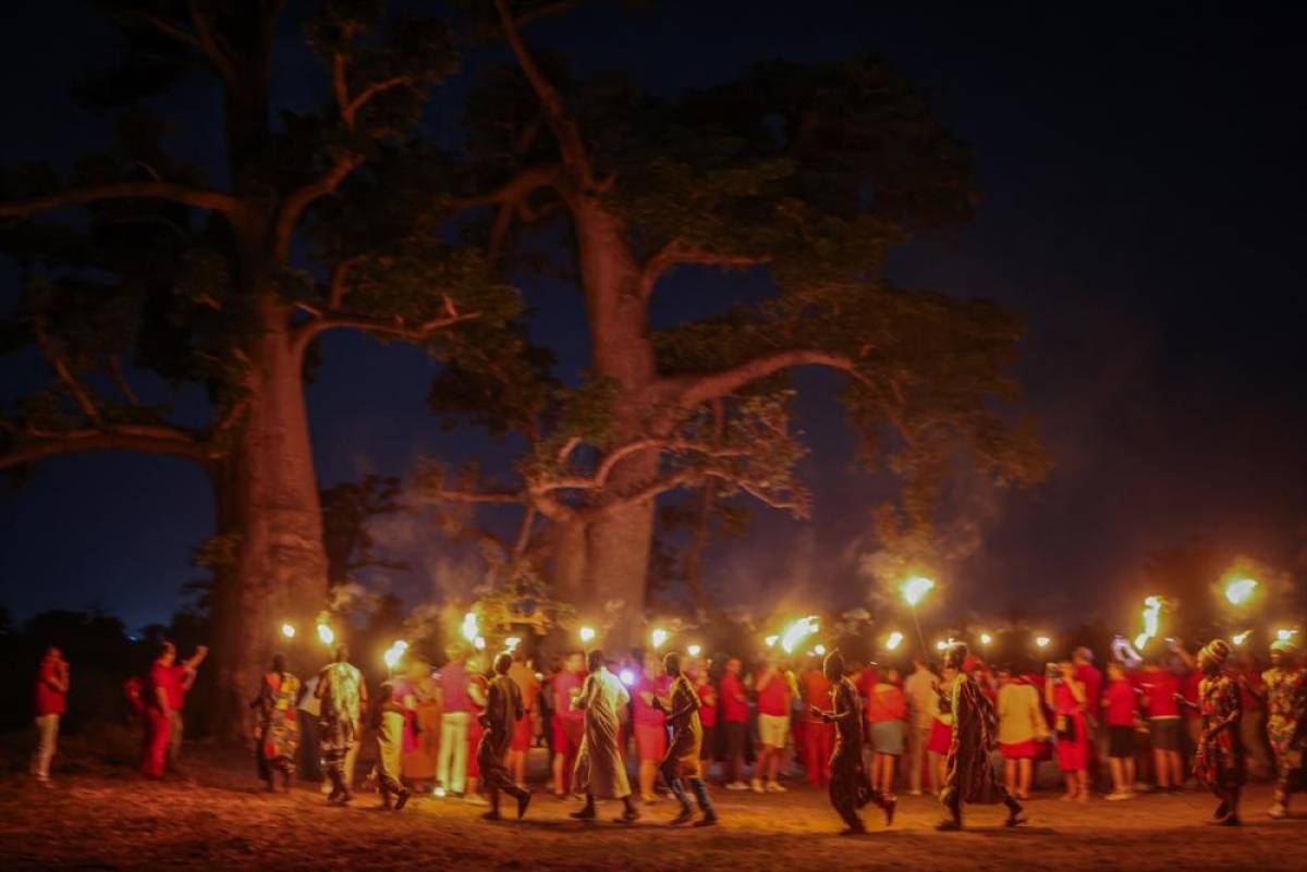 Senegal'de geleneksel perküsyonlar ve mistik karakterler baobab ormanında buluştu