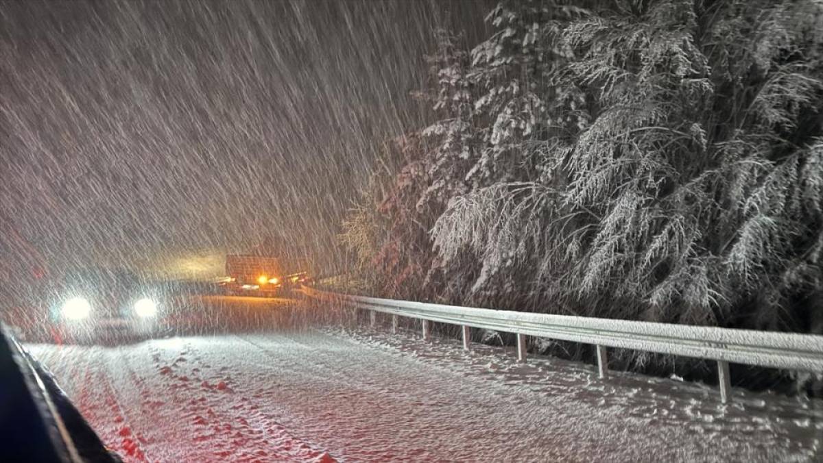 K&uuml;tahya'nın Domani&ccedil; il&ccedil;esinde yoğun kar yağışı etkili oluyor