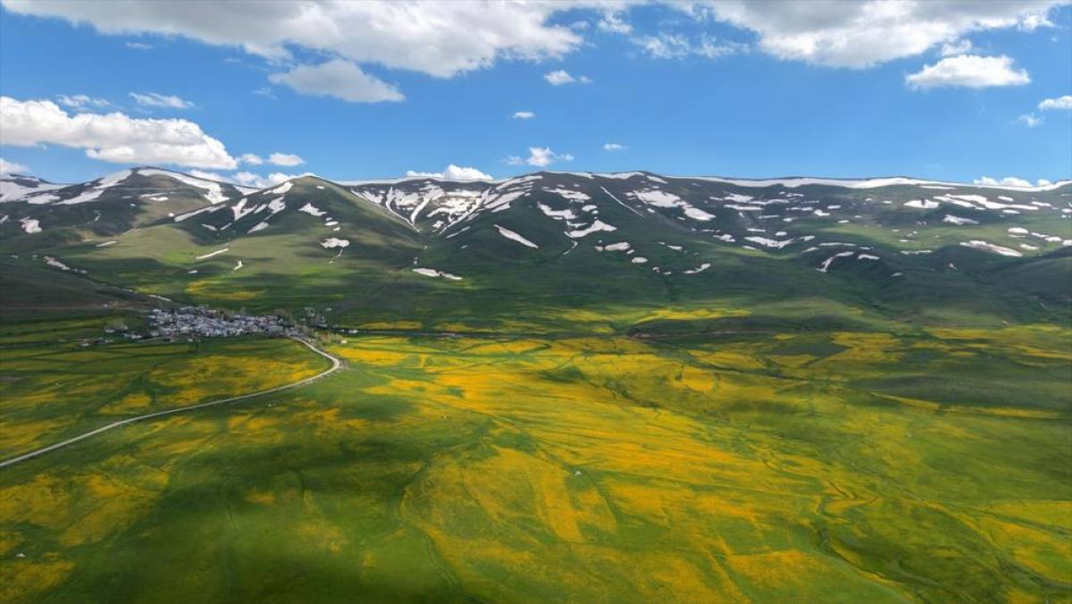 Erzurum'da &ccedil;i&ccedil;eklerle kaplanan &ccedil;ayırlar ile karla &ouml;rt&uuml;l&uuml; dağlar bir arada