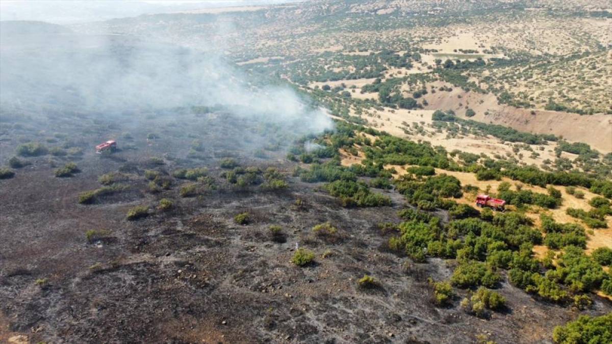 Elazığ'da ormana sı&ccedil;rayan yangına m&uuml;dahale ediliyor