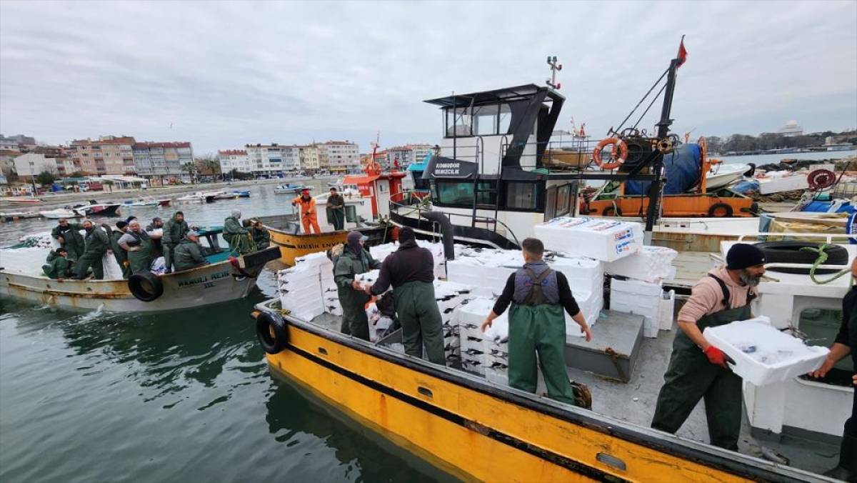 Tekirdağlı balık&ccedil;ıların y&uuml;z&uuml;n&uuml; torik bolluğu g&uuml;ld&uuml;r&uuml;yor
