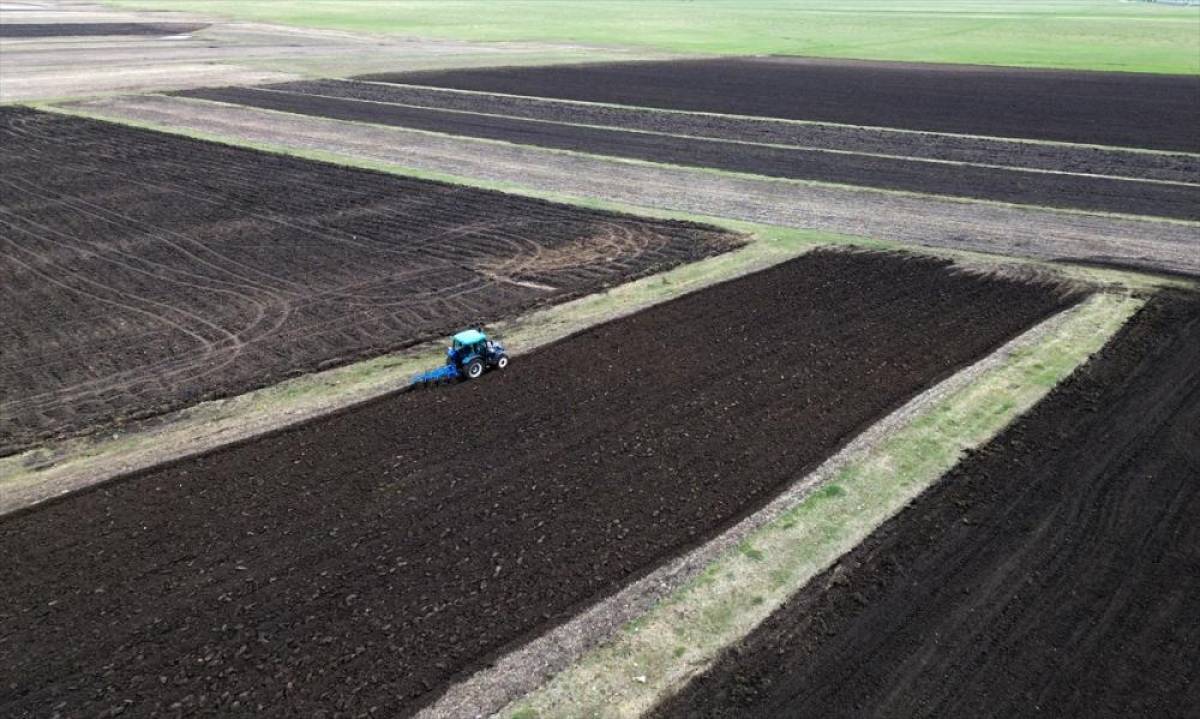 Kars'ta aylarca kar altında kalan topraklarda ekim mesaisi başladı