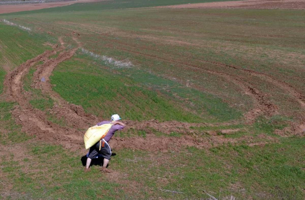 Hafik'te ge&ccedil;en yıllarda kuruyan &Ccedil;ekmeg&ouml;l yeniden suyla doldu