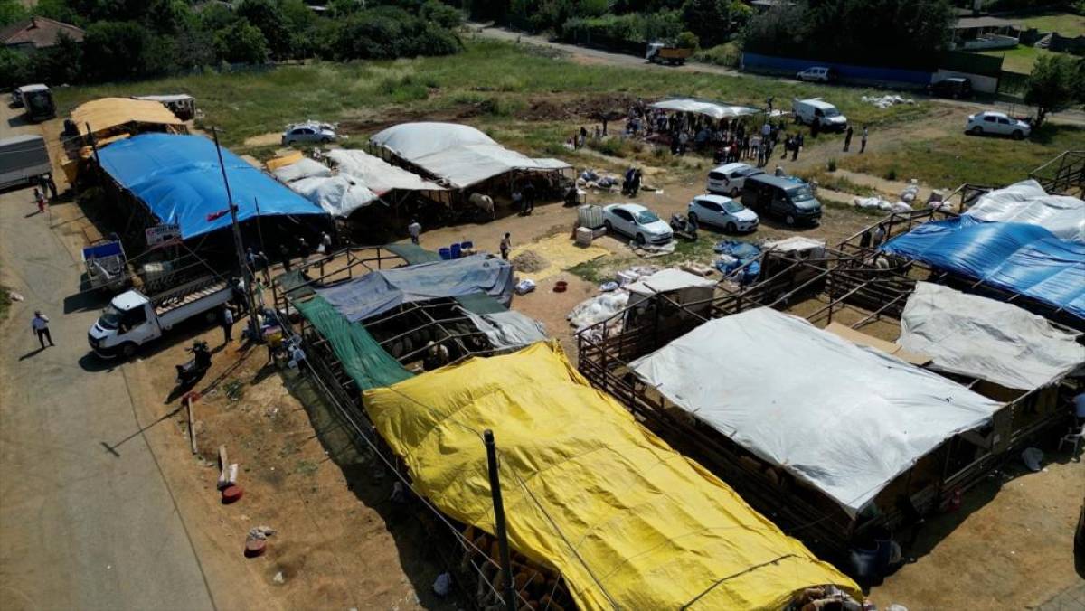 İstanbul'da bazı belediyelerden kaçak kurban kesimlerine dronla denetim