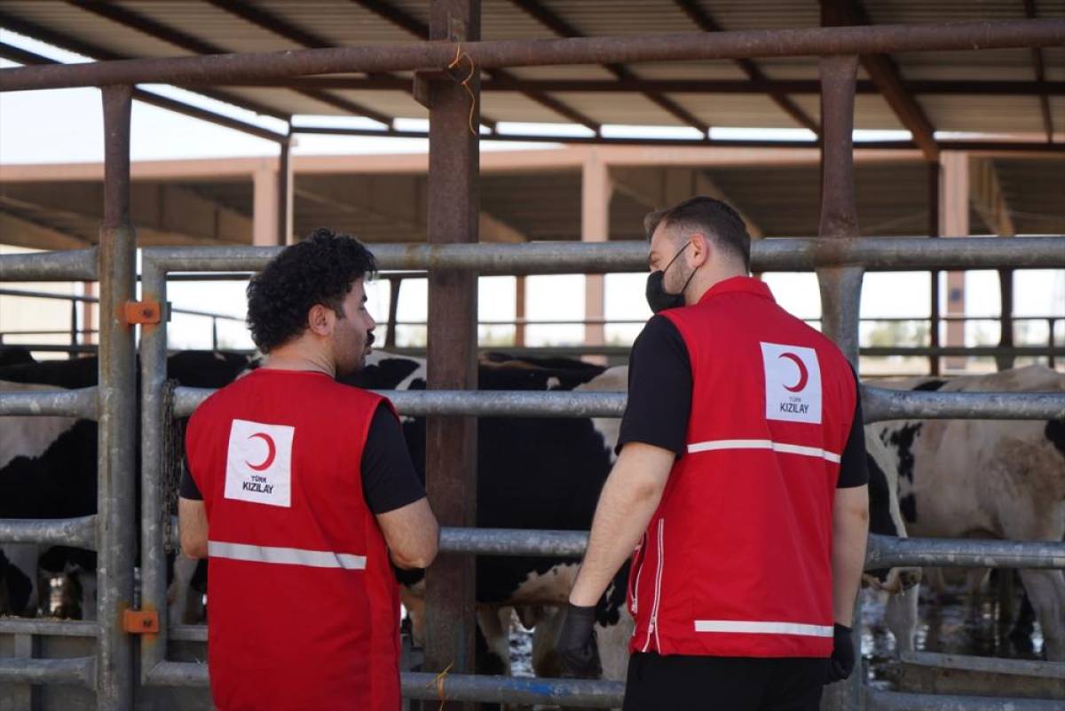 Türk Kızılay’dan Irak’ta ihtiyaç sahibi ailelere dokuz tonluk kurbanlık et bağışı