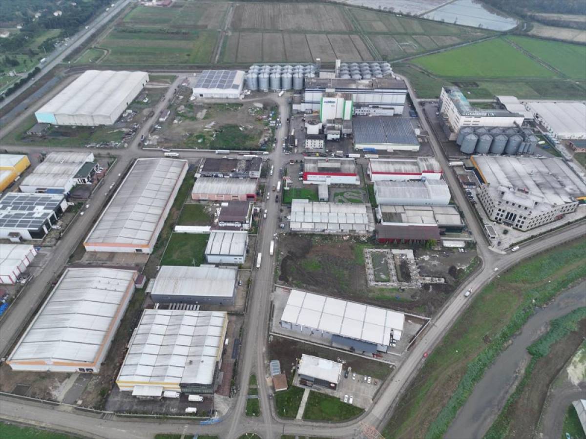 Samsun Gıda OSB'den ge&ccedil;en yıl yaklaşık 110 &uuml;lkeye 200 milyon dolarlık ihracat yapıldı