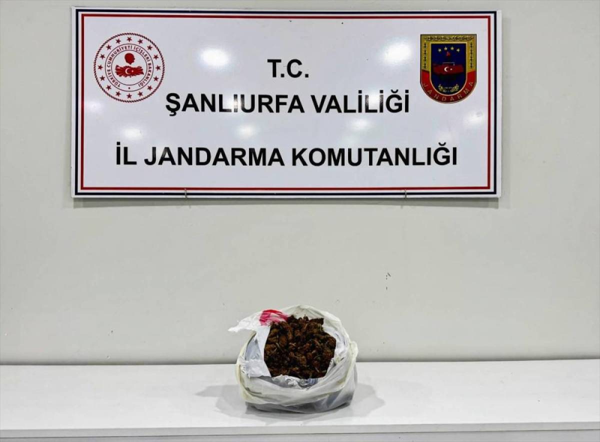 Şanlıurfa'da ara&ccedil;ta 1 kilogram uyuşturucuyla yakalanan 2 ş&uuml;pheli g&ouml;zaltına alındı