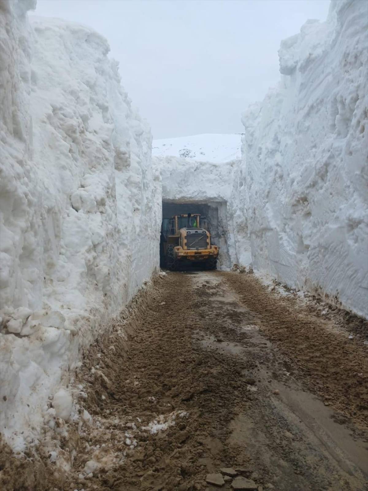 Hakkari'de &uuml;s b&ouml;lgelerinin yolunda zorlu karla m&uuml;cadele &ccedil;alışması
