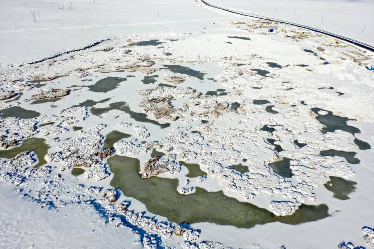 Afrika'dan Rusya'ya göç eden kuşları ağırlayan Çalı Gölü dondu