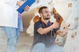 Denizli B&uuml;y&uuml;kşehir&rsquo;den &uuml;reticiye sahada destek