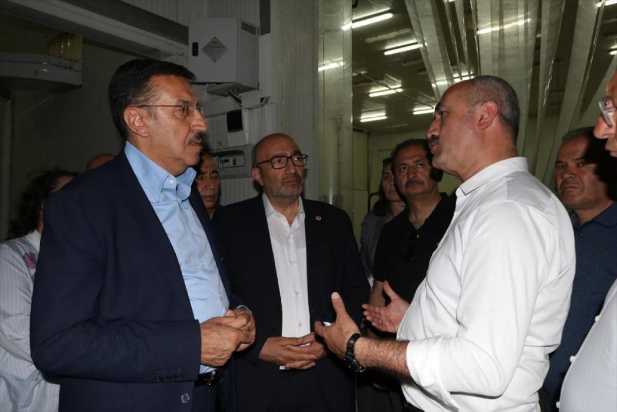TBMM Zirai Don Olayını Araştırma Komisyonu üyeleri, Eskişehir'deki kiraz bahçelerini inceledi
