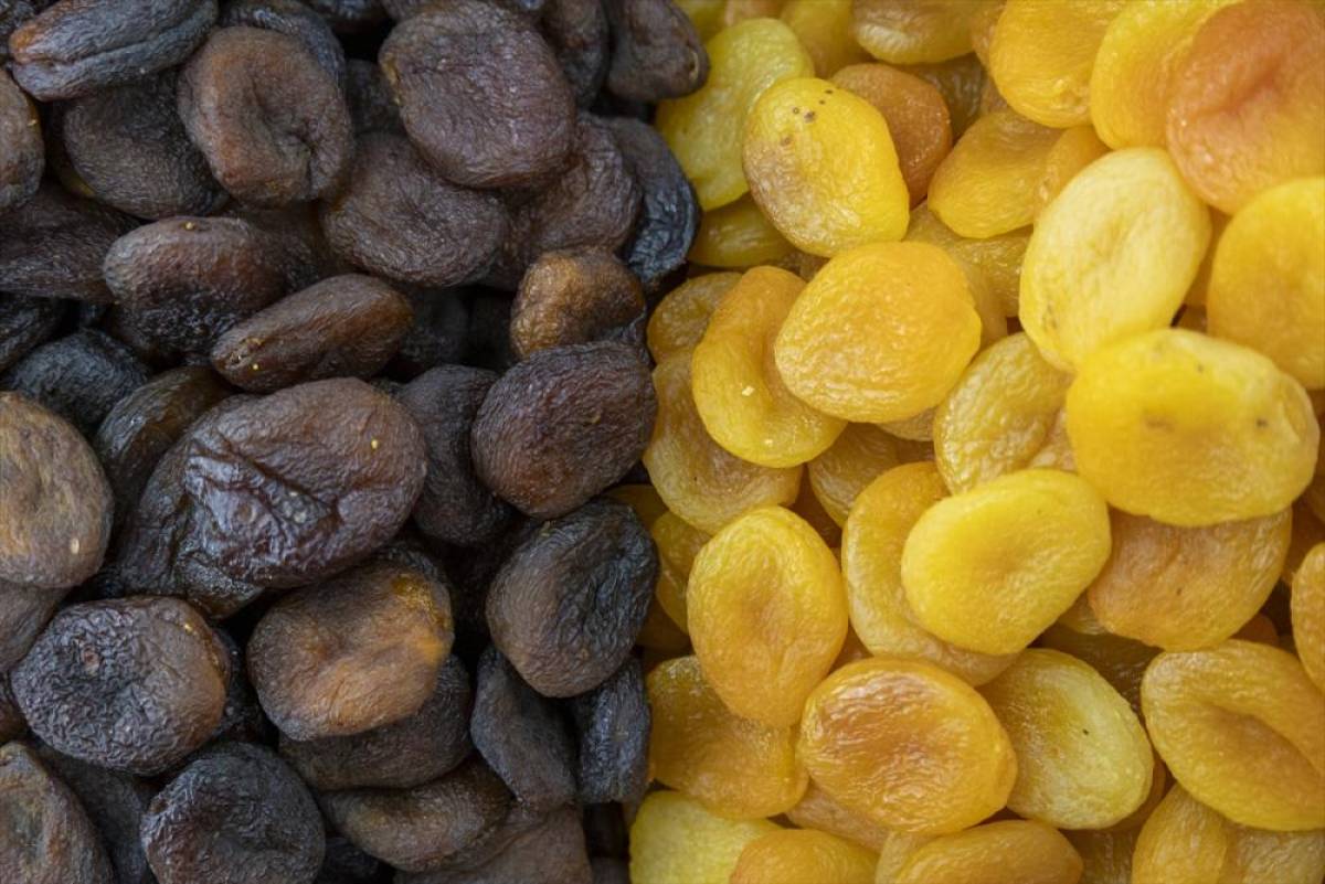 Malatya'da kuru kayısı ihracatında yeni sezondan beklenti y&uuml;ksek