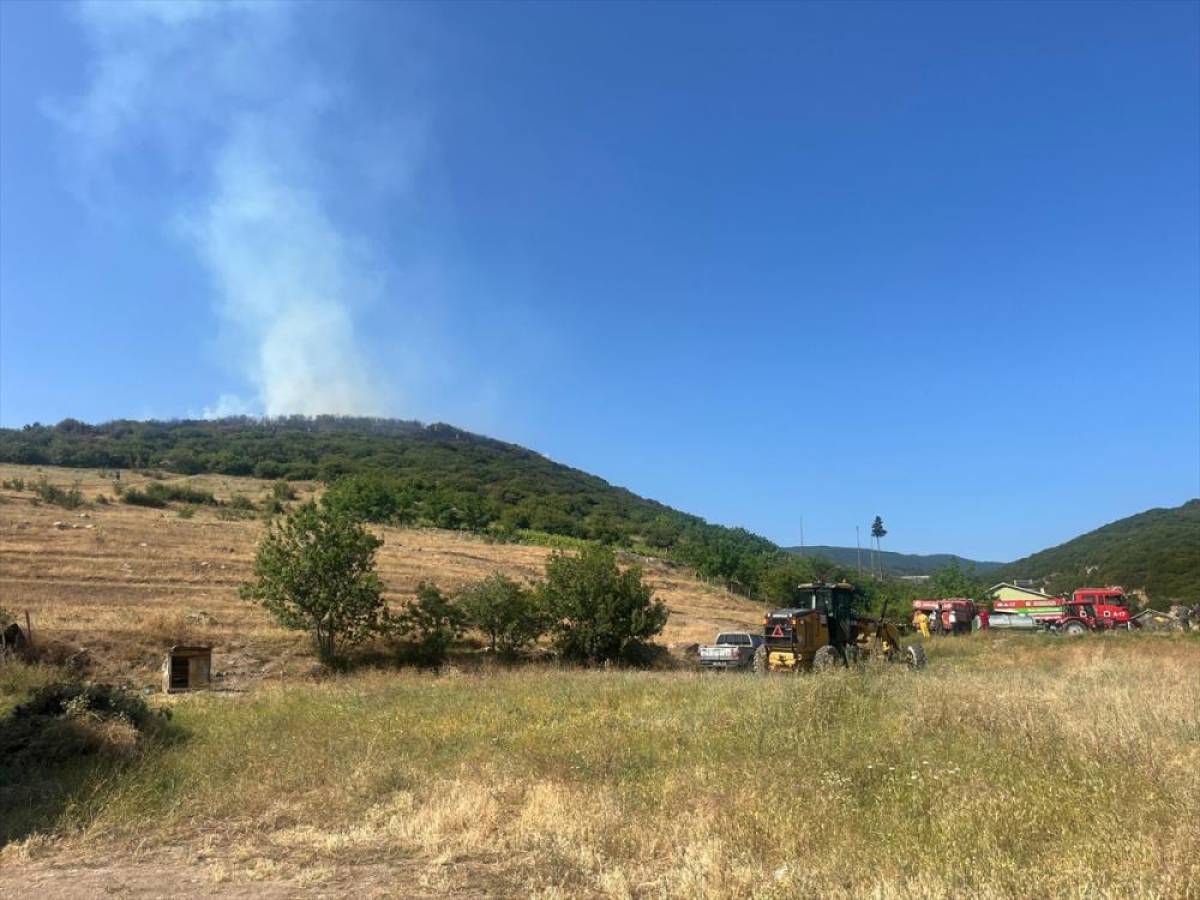 Tokat'ta ormanlık alanda çıkan yangına müdahale ediliyor