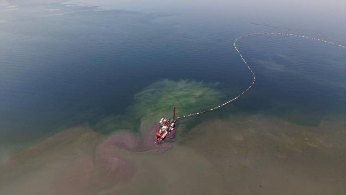 İzmit K&ouml;rfezi'ndeki dip &ccedil;amuru temizliği ekosistemi olumlu etkiledi