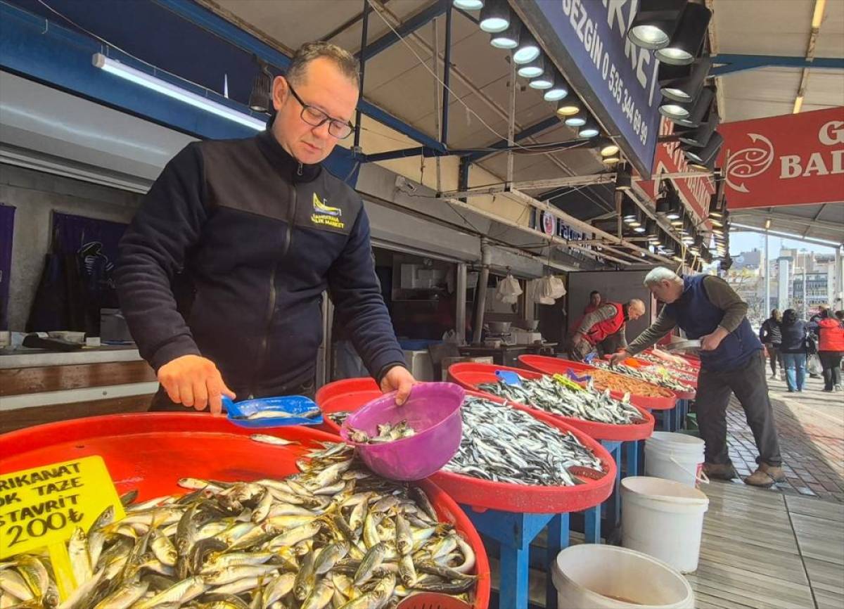 G&uuml;ney Marmara ve Kuzey Ege'de balık&ccedil;ılar bereketli sezona rağmen umduğunu bulamadı