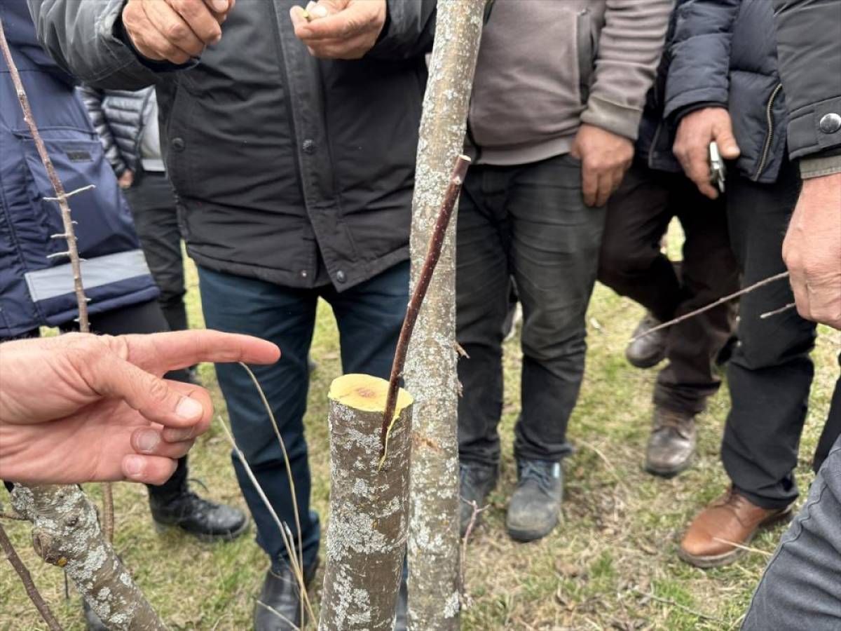 Ardahan'da meyvecilik geliştirilecek