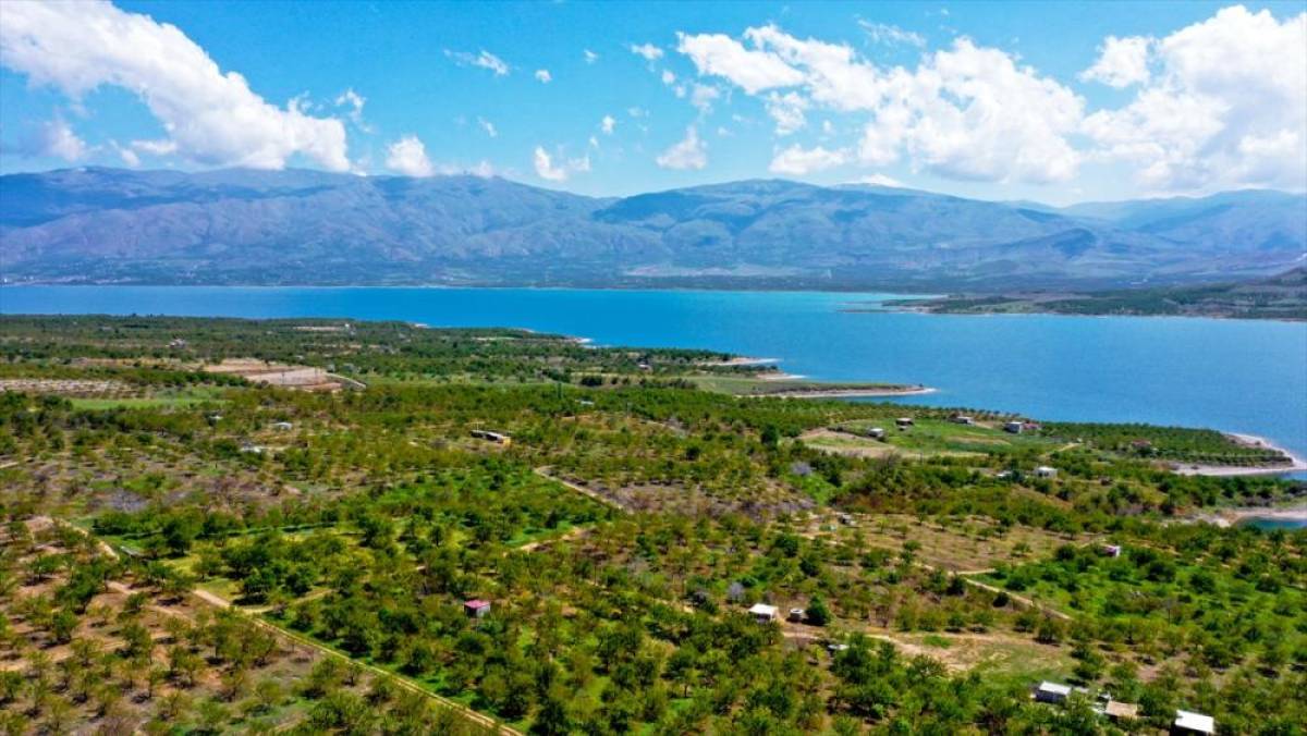 Karakaya Baraj Gölü ilkbaharda doğaseverlere güzel manzaralar sunuyor