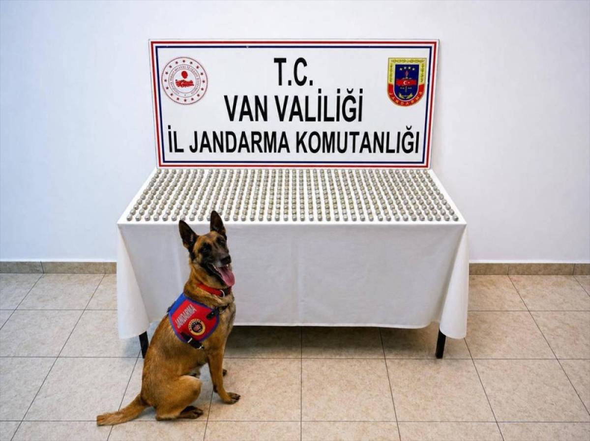 Van'da, midelerinde 3 kilo 374 gram esrar ele ge&ccedil;irilen 8 yabancı uyruklu yakalandı