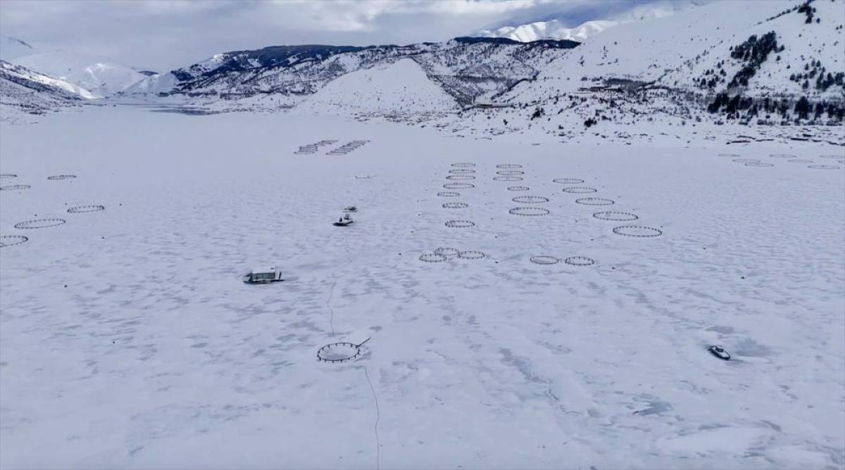 Adıyaman'daki &Ccedil;at Barajı tamamen dondu