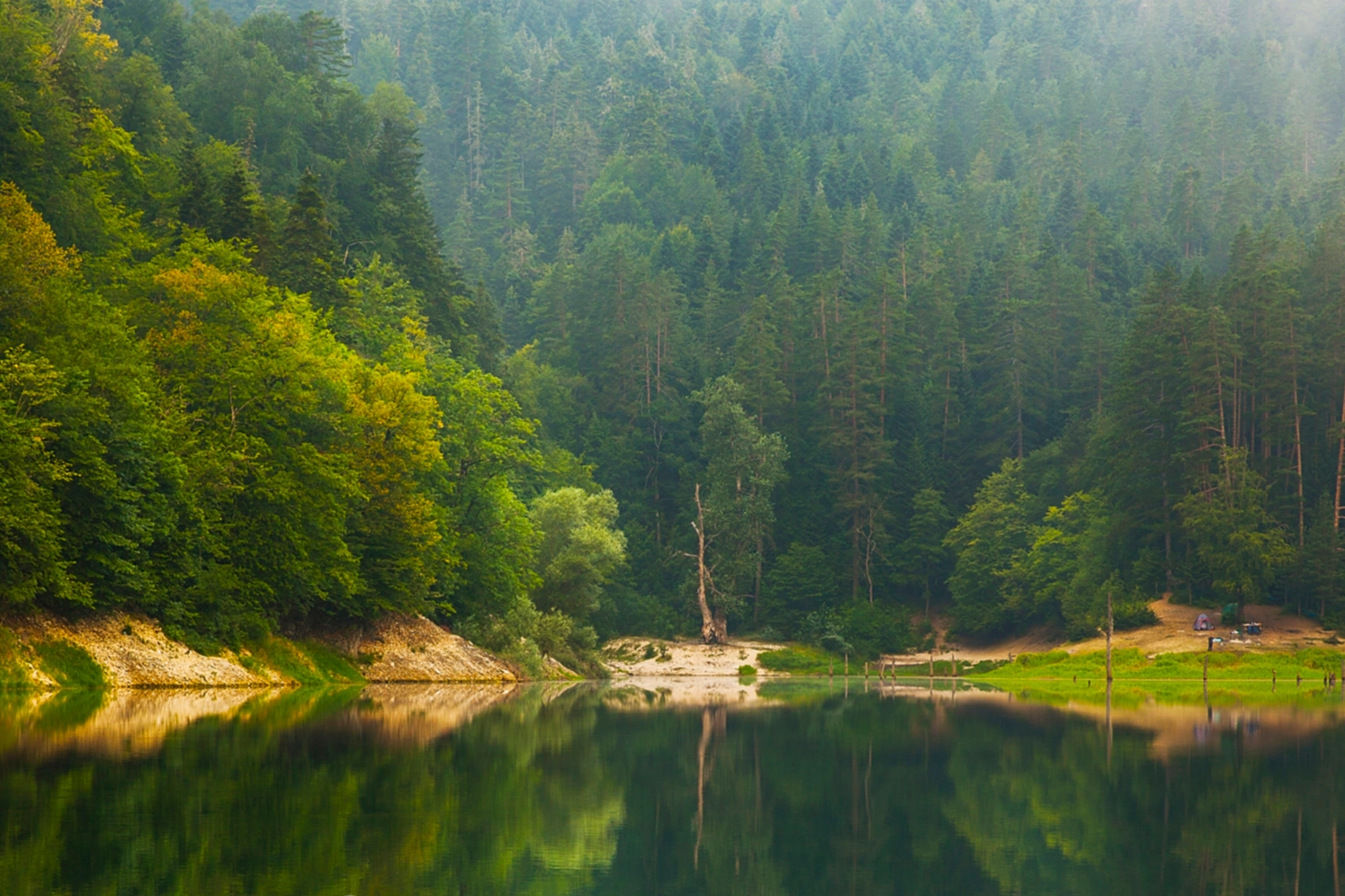 Doğa Koruma ve Milli Parklar'da yeni d&ouml;nem... Yetkiler artırıldı, cezalar y&uuml;kseltildi