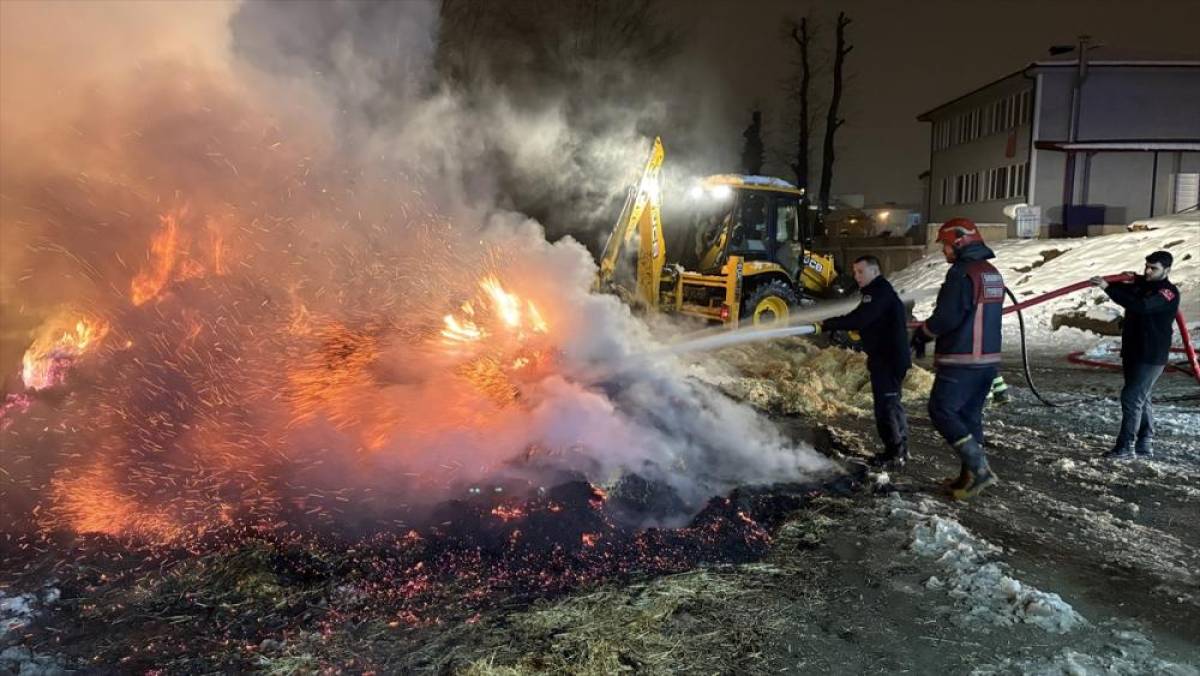 Sakarya'da saman y&uuml;kl&uuml; tır alev aldı