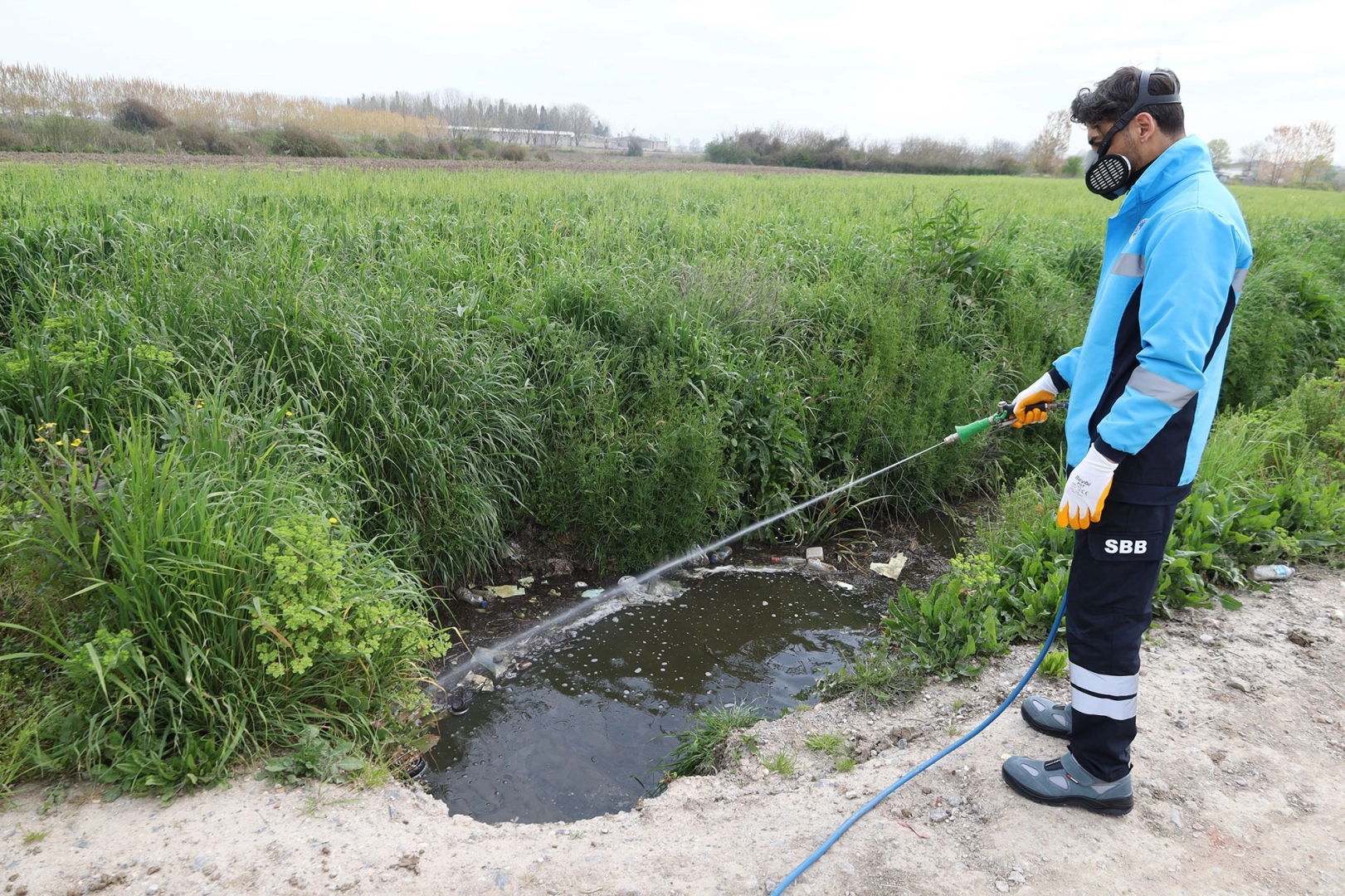 Sakarya ekipler zararlı vekt&ouml;rle m&uuml;cadeleyi s&uuml;rd&uuml;r&uuml;yor