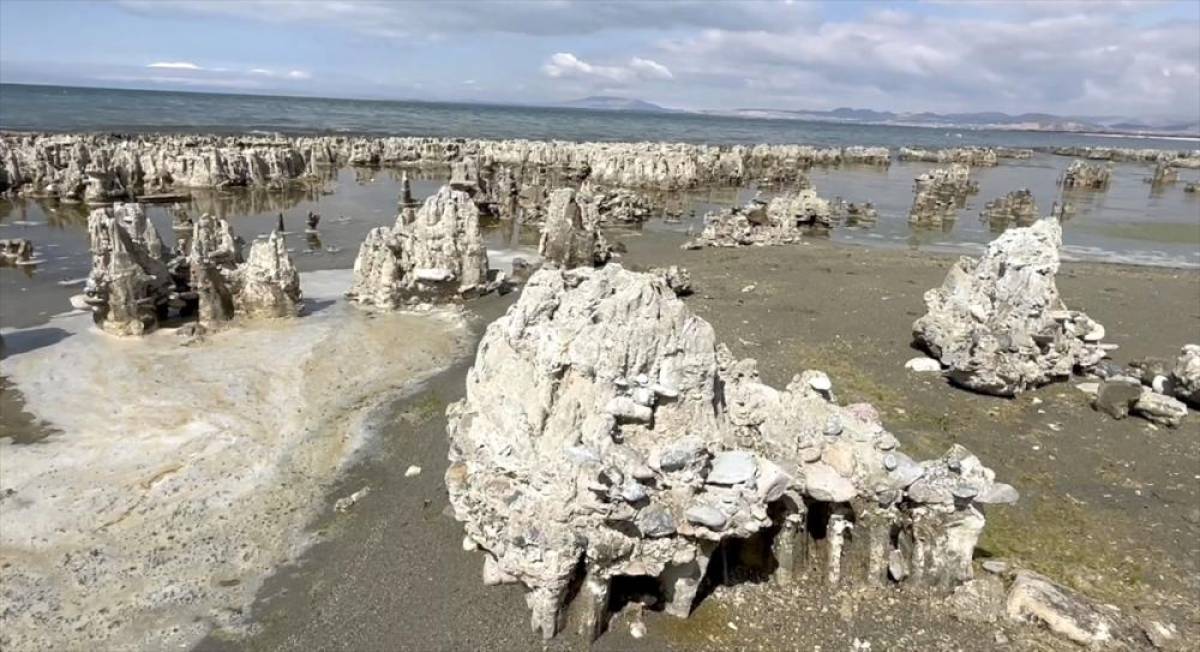 Van G&ouml;l&uuml;'ndeki mikrobiyalitler i&ccedil;in "Guinness Rekorlar Kitabı" s&uuml;reci başlatıldı