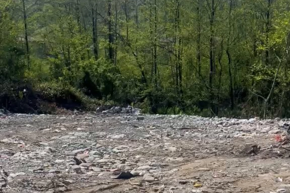 Rize&rsquo;de vahşi depolamaya milyonluk ceza! &Ccedil;evre'den su&ccedil; duyurusu