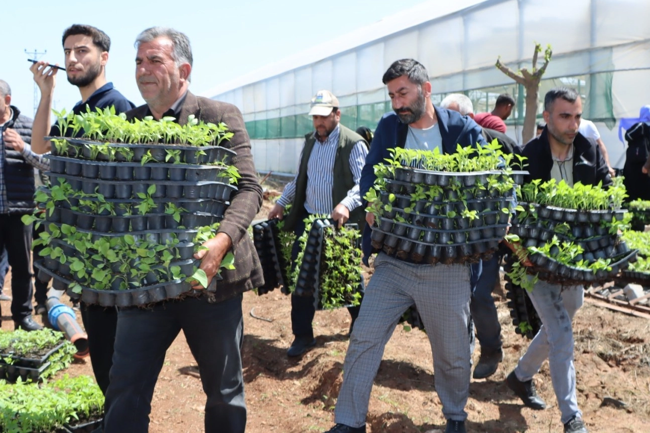 &Ccedil;ift&ccedil;iye 1 milyon fide desteği