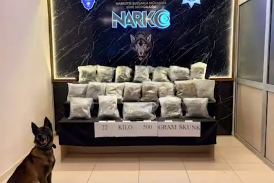Narko Edirne, Hamzabeyli'de 22,5 kilo skunk ele ge&ccedil;irdi