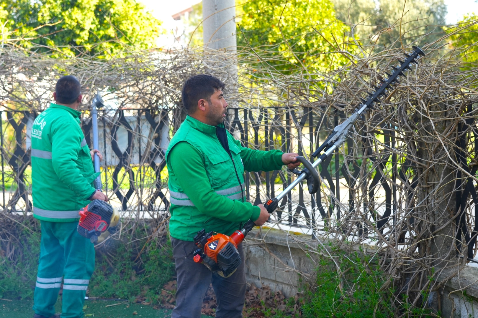Muğla Milas'ta ilkbahar bakımları s&uuml;r&uuml;yor