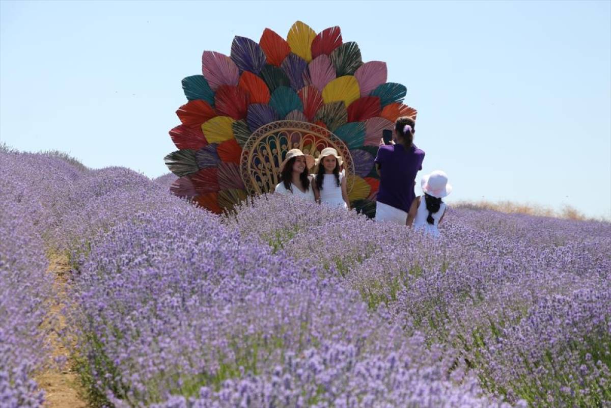 Lavanta tarlaları Tekirdağ'da turizm hareketliliğini artırıyor