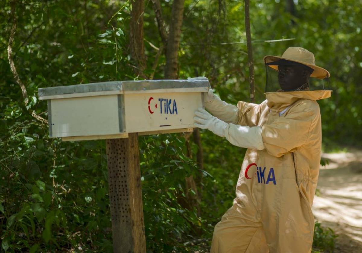 TİKA, Tanzanya&rsquo;da arıcılık sekt&ouml;r&uuml;n&uuml; geliştirmeye y&ouml;nelik projeyi hayata ge&ccedil;irdi