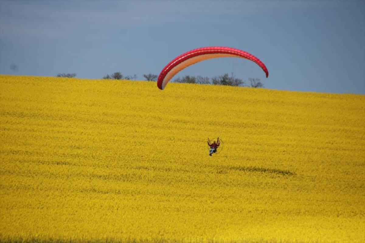 Tekirdağ&rsquo;da paramotorla kanola tarlası &uuml;zerinde u&ccedil;uş yapıldı