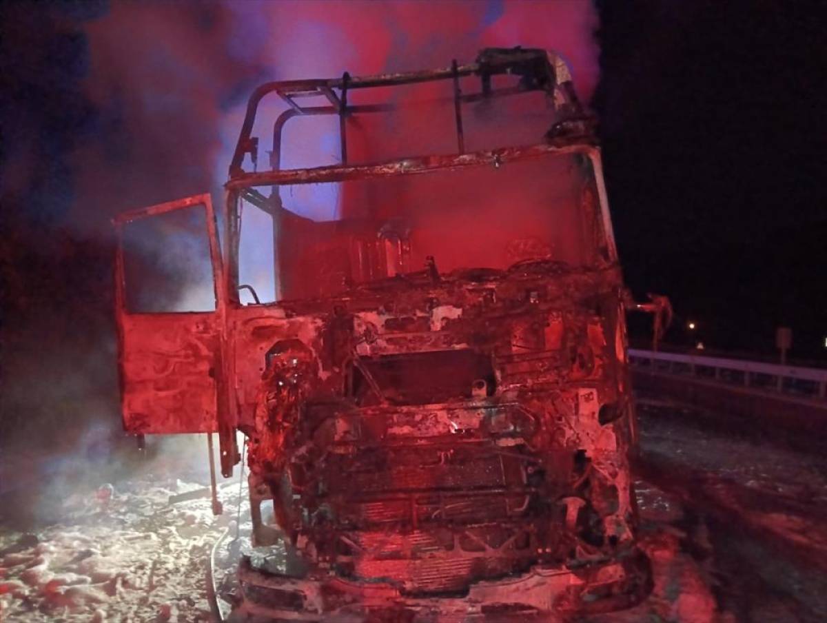 Samsun'da seyir halindeki ahşap y&uuml;kl&uuml; tır yandı