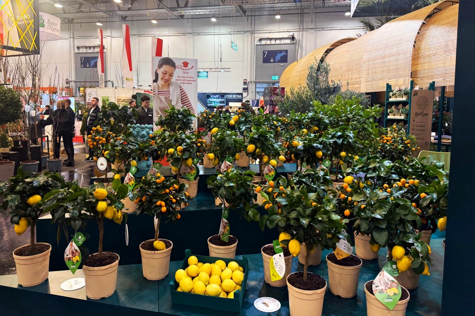 Kestel&rsquo;in yeşil g&uuml;c&uuml; Almanya&rsquo;da g&ouml;r&uuml;c&uuml;ye &ccedil;ıktı