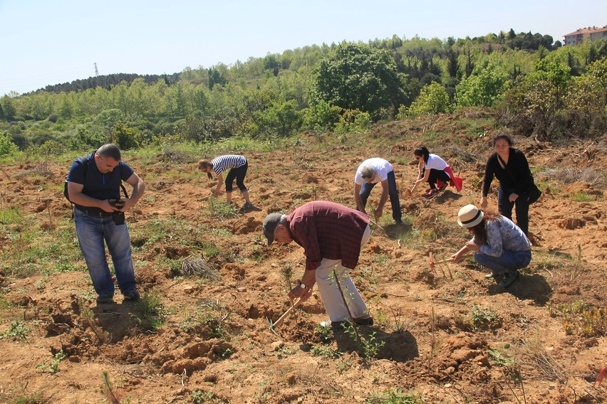 &Ccedil;EK&Uuml;L&rsquo;den doğaya 116 bin can! 7 Ağa&ccedil; Ormanları 2025&rsquo;te rekor dikime ulaştı