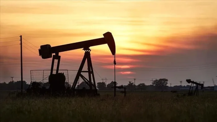 ABD, H&uuml;rm&uuml;z Boğazı'ndaki aksaklıkların s&uuml;rmesi nedeniyle petrol fiyatı tahminini y&uuml;kseltti
