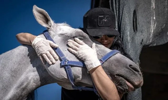 Adana'da Atlı Polis Grup Amirliği &ouml;zel gereksinimli &ccedil;ocukları ağırladı