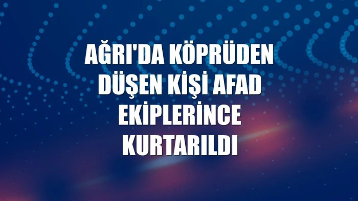 Ağrı'da köprüden düşen kişi AFAD ekiplerince kurtarıldı