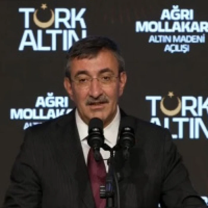 AK Parti'li Zorlu'dan İT&Uuml;'n&uuml;n Karabağ &Uuml;niversitesinde akademik birimler a&ccedil;masına ilişkin paylaşım: