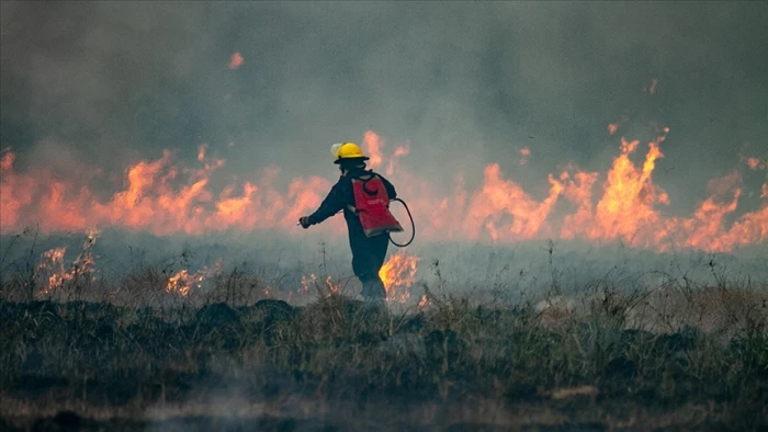 Arjantin'in Patagonya b&ouml;lgesindeki orman yangınlarında yaklaşık 12 bin hektarlık alan k&uuml;l oldu