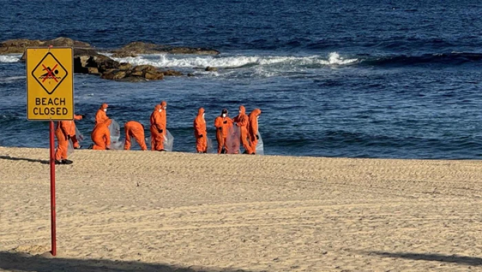 Avustralya'nın Sydney kentinde k&ouml;pek balıkları 2 &ccedil;ocuğa saldırdı