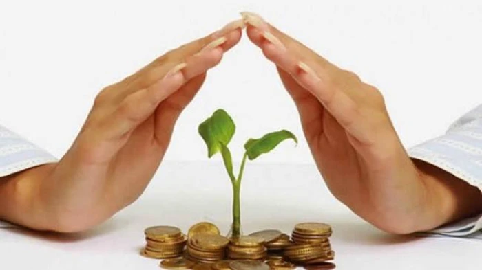 Bireysel Emeklilik Sistemi'nde gönüllü katılımcı sayısı 10 milyonu aştı