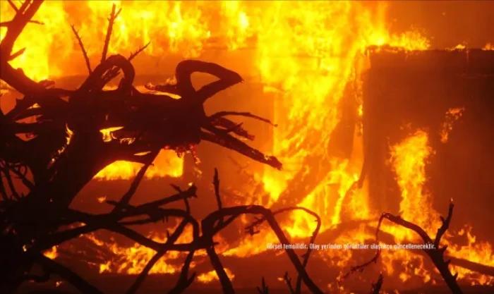 Birleşik Arap Emirlikleri: Başkent Abu Dabi'ye atılan f&uuml;zenin engellenmesinin ardından d&uuml;şen şarapneller nedeniyle &uuml;&ccedil;&uuml;nc&uuml; bir yangın &ccedil;ıktı, yaralı sayısı da 6'ya y&uuml;kseldi