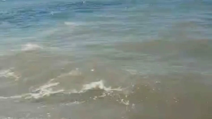 Bodrum'da denizin kirletilmesine ilişkin soruşturma başlatıldı