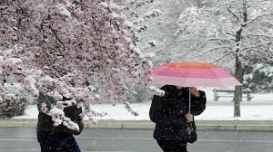 Bosna Hersek'in başkenti Saraybosna'da nisanda kar yağdı