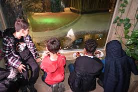 Bursa Hayvanat Bahçesi 138 türden yaklaşık bin hayvana ev sahipliği yapıyor