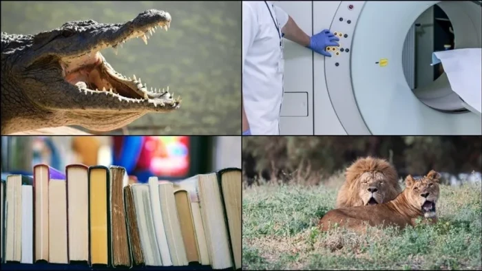 D&uuml;nyada haziran ayında bir&ccedil;ok sıra dışı ve tuhaf olay basına yansıdı