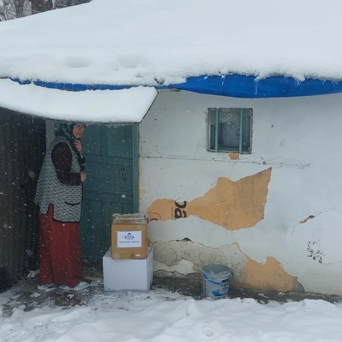 Erzurum'da a&ccedil; kalan tilki evin &ouml;n&uuml;ne kadar geldi